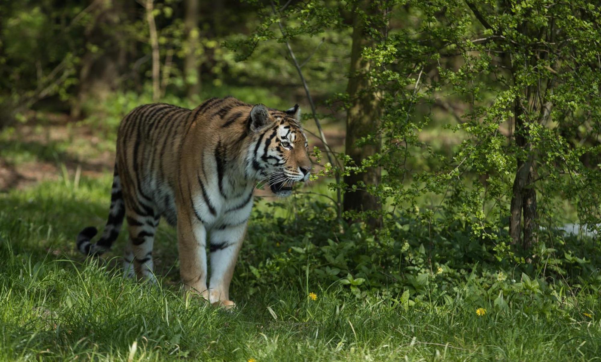Отель Knuthenborg Safaripark Марибо Экстерьер фото