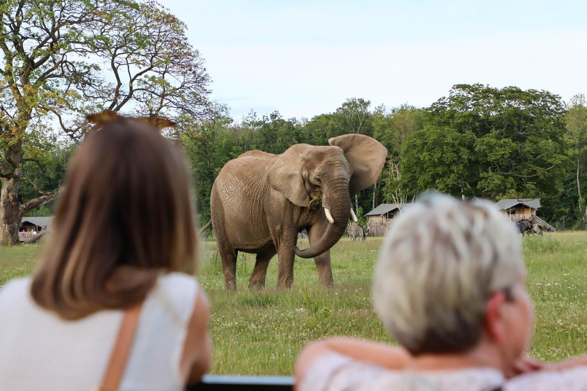 Отель Knuthenborg Safaripark Марибо Экстерьер фото