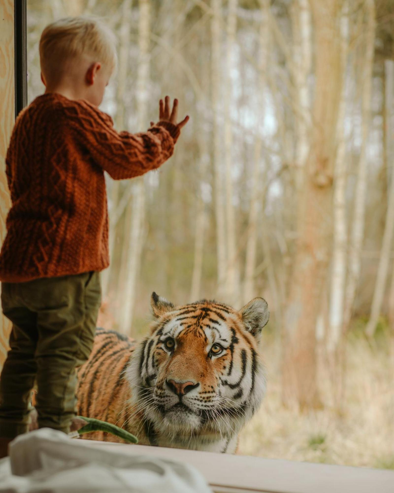 Отель Knuthenborg Safaripark Марибо Экстерьер фото