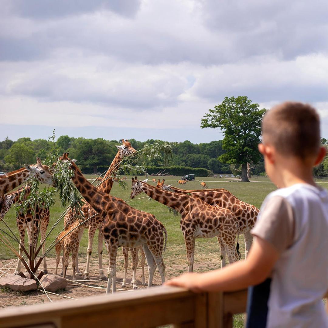 Отель Knuthenborg Safaripark Марибо Экстерьер фото