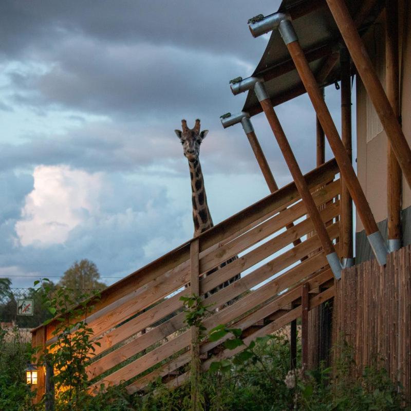 Отель Knuthenborg Safaripark Марибо Экстерьер фото